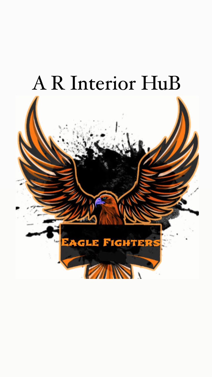 Eagle fighter and A R interior Hub